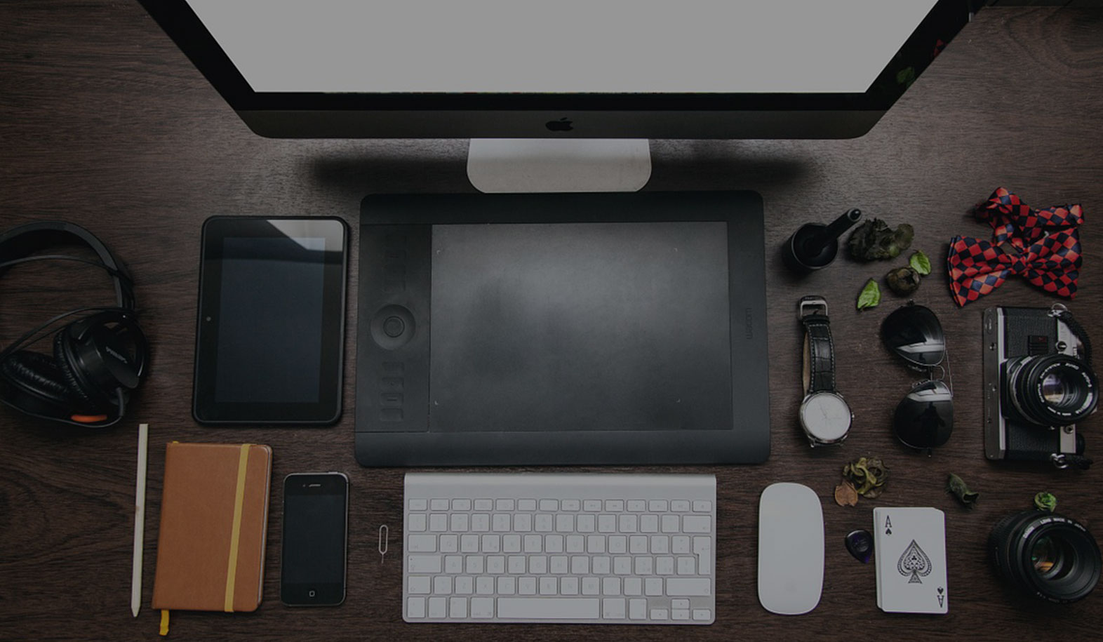 Web-designer